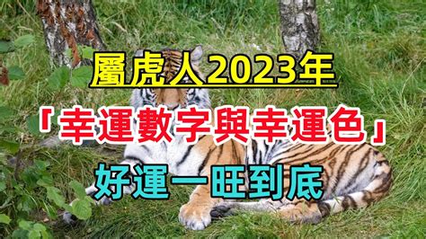 屬虎幸運色2023